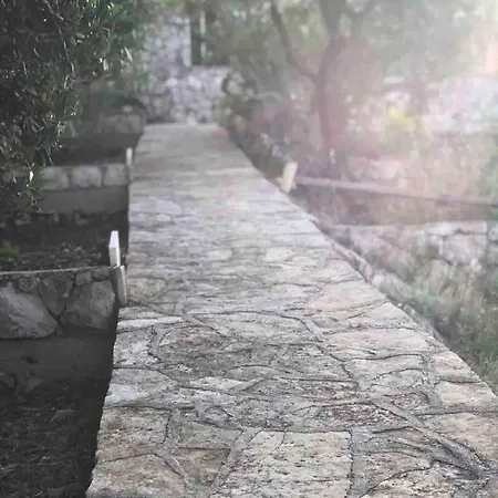 Seafront House Antonia *